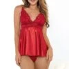Satin & Lace Babydoll -Strippers Heels Store 43517 RED FS