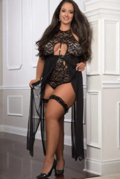 Flyaway Sheer Dress Teddy With Lace Garters