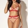 Nude Mesh Two-Piece Set With Red Accents -Strippers Heels Store Nude Mesh Two Piece Set with Red accents Lingerie Sets Mapale Nude SEXYSHOES COM