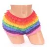 Plus Size Rainbow Mesh Ruffle Panty -Strippers Heels Store Plus Size Rainbow Mesh Ruffle Panty Bloomers Daisy Corsets Rainbow SEXYSHOESCOM