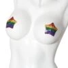 Coquette Rhinestone Star Rainbow Pasty With Reusable Self Adhesive Backing -Strippers Heels Store Rhinestone Star Rainbow Pasty With Reusable Self Adhesive Backing Pasties Coquette Rainbow SEXYSHOES COM