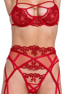 Rouge Bow 3-Piece Garter Short Set -Strippers Heels Store Rouge Bow 3 Piece Garter Short Set Lingerie Sets Roma Confidential SEXYSHOES COM 3