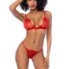 Two-Piece Embroidered Lace Bralette Set -Strippers Heels Store Two Piece Embroidered Lace Bralette Set Lingerie Sets Mapale Red SEXYSHOES COM